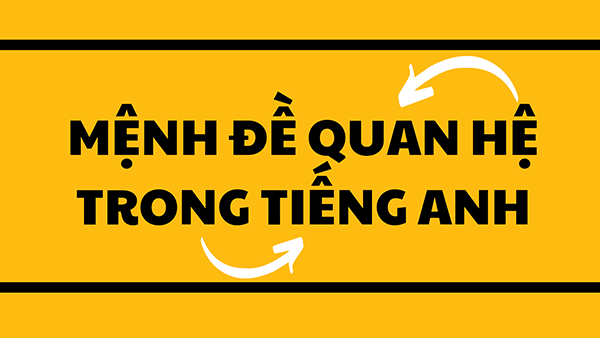 bài tập đại từ quan hệ