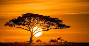 từ vựng về hometown