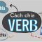 Bí kíp chia động từ trong tiếng Anh