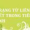 Các trạng từ liên kết thường gặp
